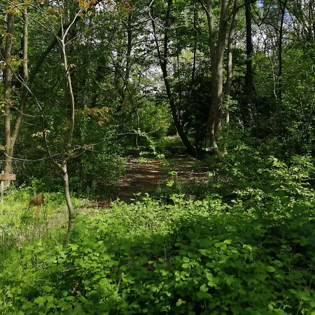 Casetta Con Terrazza شقة *