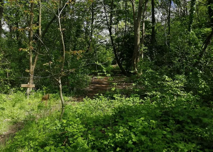 Casetta Con Terrazza Апартаменты *